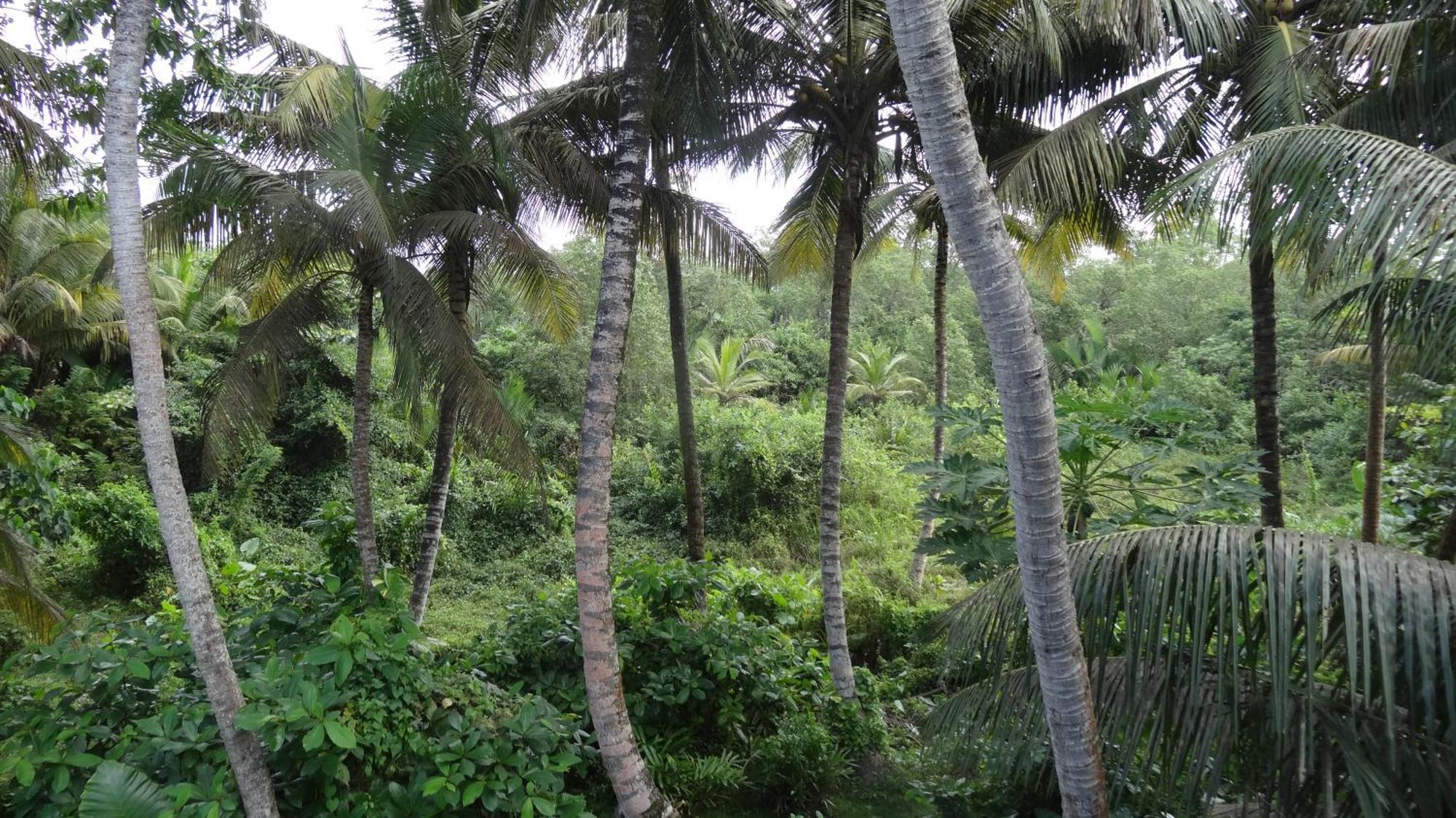 Ranil Villa Galle Exterior foto